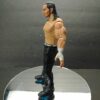 2004 Matt Hardy WWE Jakks Pacific Ruthless Aggression Action Figure for sale side