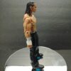 2004 Matt Hardy WWE Jakks Pacific Ruthless Aggression Action Figure for sale side 2